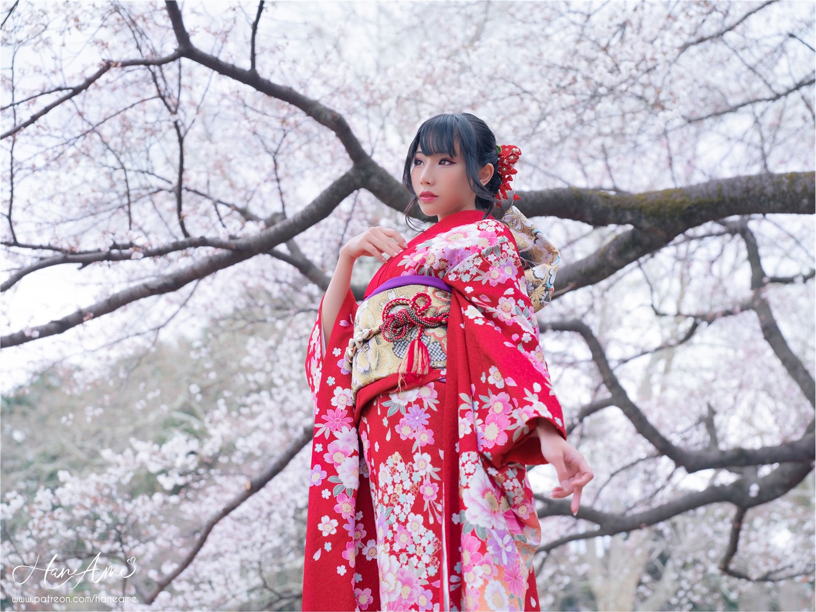 Rain waves_ HaneAme - NO.092 Crimson Kimono(16)